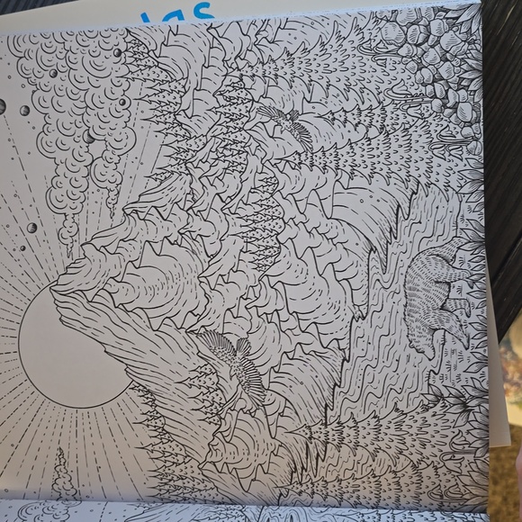 Nature Mandalas and Circle of Life Coloring Books - Picture 7 of 8